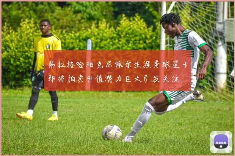 弗拉格哈珀克尼佩尔生涯秀球星卡即将拍卖升值潜力巨大引发关注