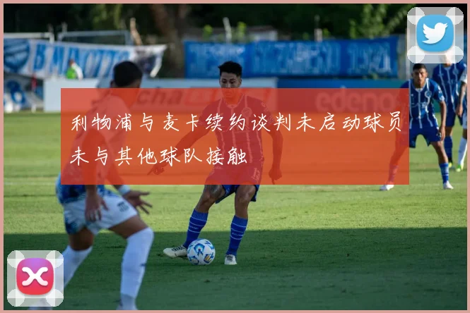 利物浦与麦卡续约谈判未启动球员未与其他球队接触